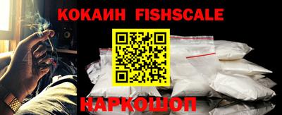 индика Можайск