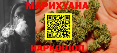 индика Можайск