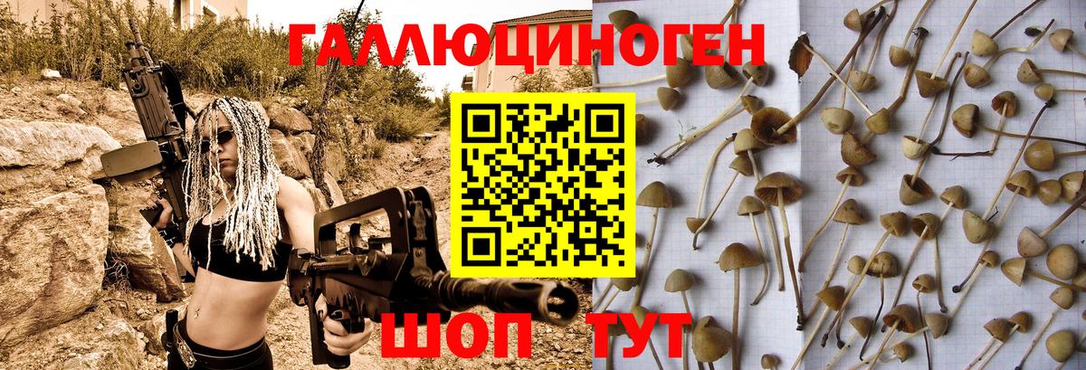 Псилоцибиновые грибы мицелий  Вход с VPN  Щёлково  Псилоцибиновые грибы GOLDEN TEACHER 